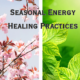 Seasonal Energy Healing Practices: Align Your Energy with the Cycles of Nature